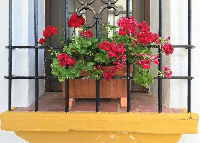 Bed and breakfast La Escondida Ronda,